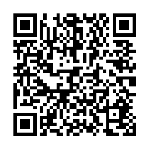 并且还是因为一门完全不被他们放在眼中的地阶战技而失态二维码生成