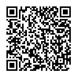 并且这些条件反射可以和游戏里一样根据环境来做出相应的最好的反应二维码生成