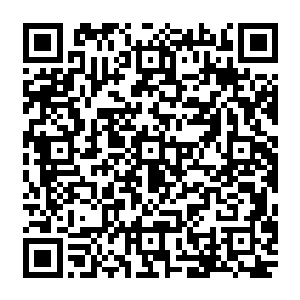 并严厉批评了经济界一些关于市场经济体系将会逐渐取代社会主义计划经济体系的观点二维码生成