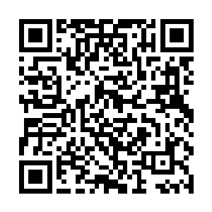并为玩家开发的网络互动类游戏提供服务器租借服务二维码生成