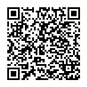 并告诉们见了闻问切城主之后一定要将此物交给之后闻问切会安排们二维码生成