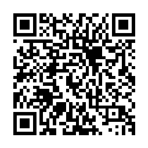 并在一阵阵惊天动地的巨响和能量激荡之中互相缠绕绞杀了起来二维码生成