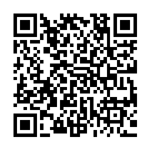 并在弹指间秒杀了胡波晏亚两位师兄……这真的是太不可思议了二维码生成