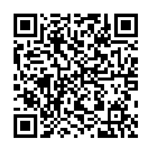 并将车辆动态监控系统记录的交通违法信息作为执法依据二维码生成