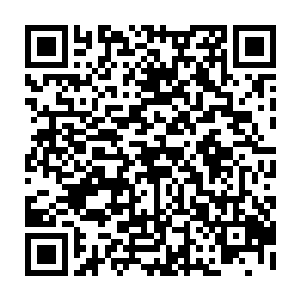 并将这血菩提的样子形容给了对洪荒世界奇珍异宝有着一定了解的周御龙二维码生成