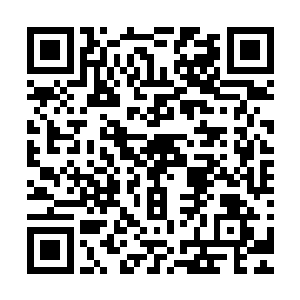 并没有什么特殊的表现――球迷们拿给他签名的东西千奇百怪二维码生成