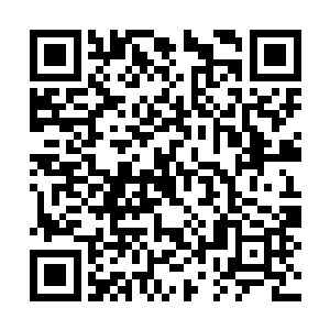 并没有动用自己真正的实力――他太轻视李雨桐了二维码生成