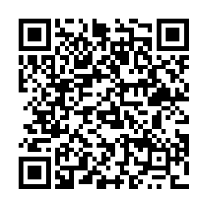 并没有因为苏凡对他的极度信任而产生什么骄纵的想法二维码生成