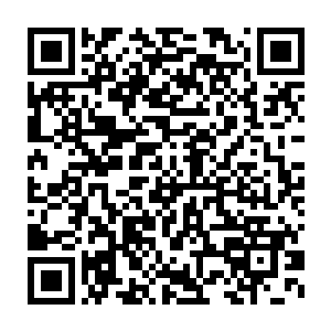 并没有在这颗小石子一般的卫星上发现半点人类活动和法宝攻击的迹象二维码生成