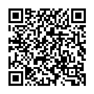 并没有把玄真派怎么放在眼里――大家井水不犯河水罢了二维码生成