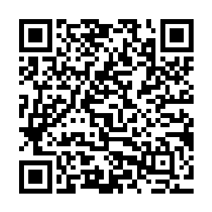 并表示以后有机会带血妖姬们去参加一次那获得那类东西的活动二维码生成