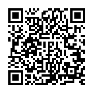 并针对木真和新加入精英学院的巨人们做了一次教学说明会议二维码生成