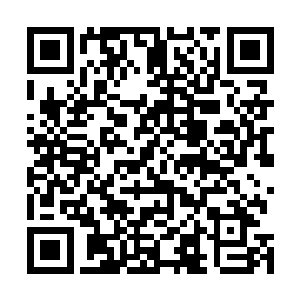 幸运侠和万虫王分明都是几乎不死的存在……为什么……二维码生成