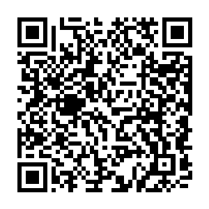 幼儿园这边安排小朋友和父母一起动手做了一顿味道其实不怎么样的午餐二维码生成