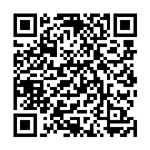 幽冥以付出了两千修士的死亡代价击退了鬼界罗刹的进攻二维码生成