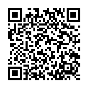 幽城所在行省被黑暗疆域的遗忘山脉和叛军控制的幽南行省环绕二维码生成