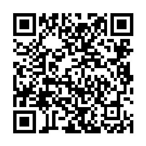 幽灵域主就将所有转轮星域的鬼修背景传给了徐叔和我二维码生成