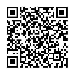 广阔的荒漠上只有几棵枯死的老树和三两只打架的老鼠二维码生成
