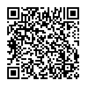 应当经该级人民代表大会主席团或者人民代表大会常务委员会许可二维码生成