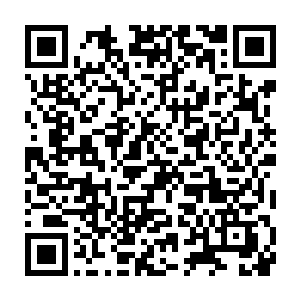 应该也各有一门相对应的普通绝学和一段新的基础印法以及相应的术法二维码生成