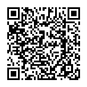 应该只有五分之一不到的几率会被那一只猛兽给追上的……但事实真的是这样吗二维码生成