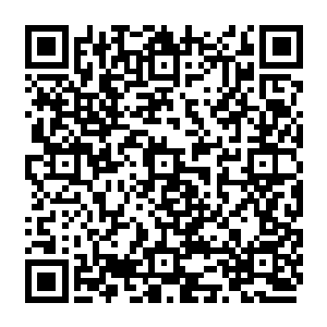 应该是因为我和罗琳不曾在jesse关闭大殿殿门时候仰望大殿本堂顶两条金龙的眼睛二维码生成