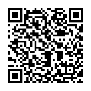 应该是无数细小纤维状矿物微晶纵横交织而成的致密块状集合体二维码生成