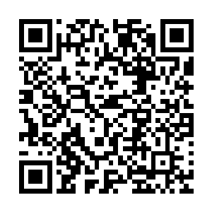 应该是江宛秋安排的所谓的自己父母出现在林晓夕家之前买的二维码生成