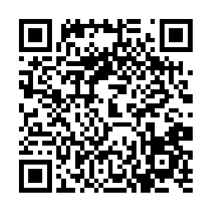 店经理和导购小姐都被他们不所畏惧的模样吓得不轻二维码生成