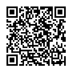 店长和导购员已经推了几个架子放置在了目前的面前二维码生成