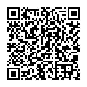 府中关于家主和主母以及两位公子和两位侧妃的一举一动都会如雪花般地传开二维码生成