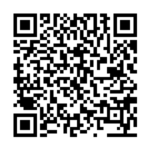 庞籍连云峥在皇宫动武这种大罪都轻描淡写的一语带过不提二维码生成