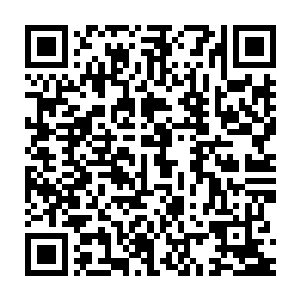 康斯坦丁和米哈埃拉第一时间赶到了门罗县福塞斯警局保了妮娜出来二维码生成