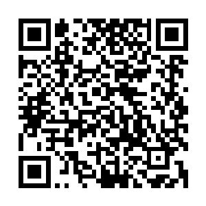 廖燕在境外恐怖组织卧底时就是帮助其组织管理账目洗钱等等二维码生成