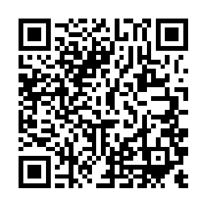 廖辽又飞速地把家里的保姆阿姨和黄文娟都给支走了二维码生成