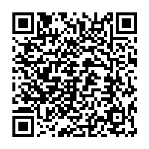 建木可是万木之祖如果换在以前这些小东西肯定是不敢去惹建木的二维码生成
