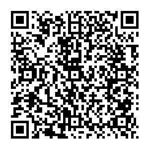 建立起通过法律法规来约束和规范包括政府在内的所有行政机关和企事业单位等所有实体在内的环境二维码生成