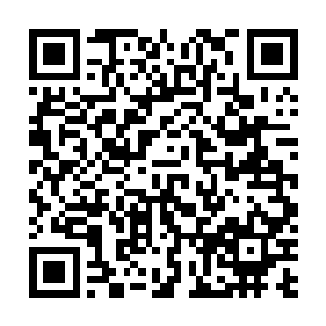 建设法治社会带来的优势甚至强于其他任何一种要素优势二维码生成