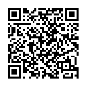 开一场演唱会的门票收入就足以偿还他在天元的所有债务二维码生成