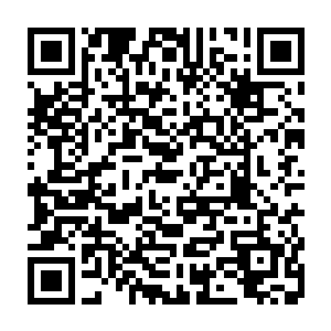 开发重点放在荒丘荒坡面积较大而增长潜力很大的沙梁乡和小坝乡两个乡二维码生成