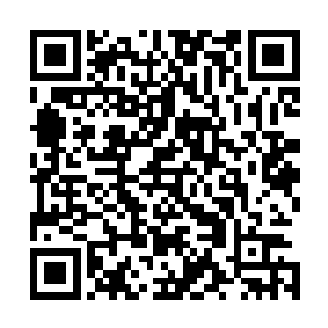 开始以一种让人无法置信的速度屠戮起了这地心世界的虫族二维码生成
