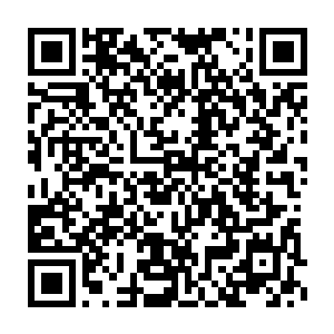 开始像一群野兽捕获猎物一样的开始吞噬撕咬那个男人的血肉和身体二维码生成