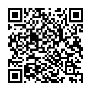 开始嫉妒和仇恨起那些变得与他们不一样而且更漂亮的同类二维码生成