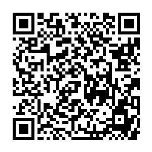 开始的时候他们还有些不太明白叶天机和剑无极为什么表现的这么震撼二维码生成