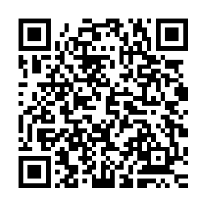 异形军团中的王牌队伍边和虫族军团中的王牌队伍撞在了一起二维码生成