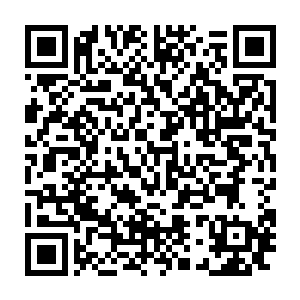 弄得班里的男同学一个个都羡慕的恨不得自己也去挨马涛一顿揍了二维码生成