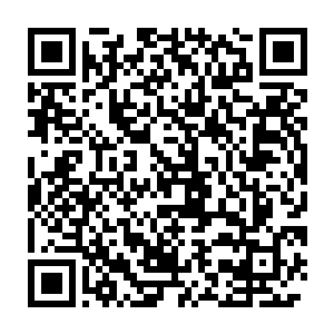 弄的血幽紫傻愣的看着暗淡下去的青羽几息后才无奈的摇摇头收了起来二维码生成