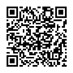 弓藏血劈头盖脸不客气的羞辱跟代离的犀利反击让众人郁闷了二维码生成