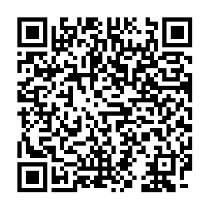 引着几张神火符在冷库里转了两圈将半空中飞着的苍蝇燎下来不少二维码生成