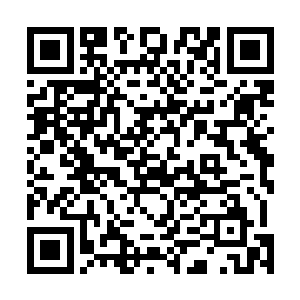 引诱了众多外界武者去两界山内为他们猎取噬生兽的尸体二维码生成